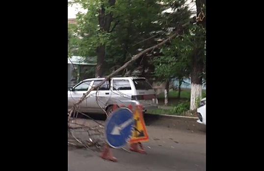 В центре Уфы на «одиннадцатую» накрыло деревом