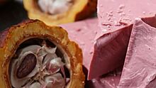Сладкий рубин: впервые за 80 лет открыт новый вид шоколада
