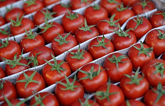 Водитель фуры сбежал с санкционными томатами