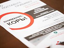 Ждать ли в Челябинской области эпидемию кори