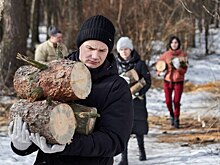 Заготовка дров продолжается