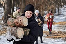 Заготовка дров продолжается