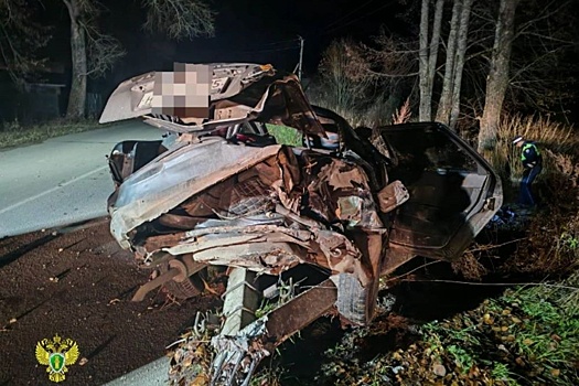 В Костромской области выпавшую из машины девочку сбил другой автомобиль