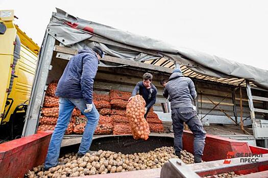 Аграрии ожидают повышения цен на картофель