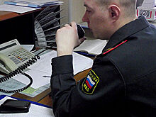 Назван новый начальник полиции Петербурга