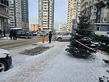 Стало известно, кто мог убить трех человек на ул. Ново-Садовой в Самаре