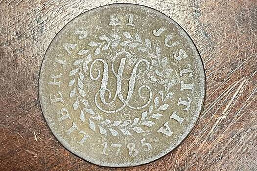 Дети случайно нашли редкую монету стоимостью три миллиона рублей