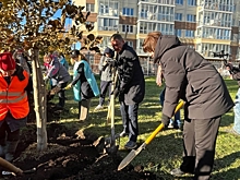 В Малоохтинском парке Петербурга появилась аллея, посвященная дизайну