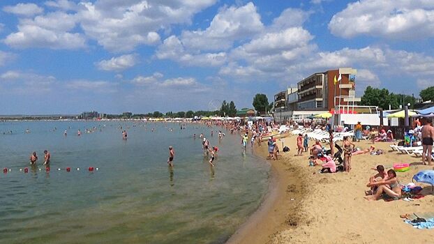 В Анапе рекордный выброс камки на берег