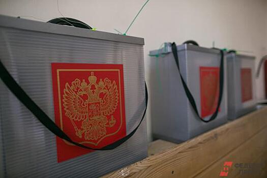 В Красноярске оспаривают итоги довыборов в горсовет