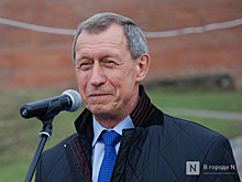 Общественную палату Нижнего Новгорода снова возглавил Сергей Горин