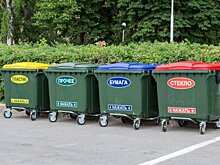 Костромичи сказали «нет» раздельному сбору мусора