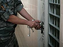 Диверсант получил срок за атаки на российские объекты связи