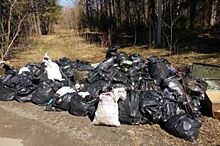 Пермяки собрали около шести тонн мусора на фестивале «Лесной воробей»