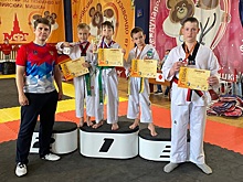 Рязановские школьники стали призерами открытого первенства по тхэквондо