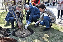 Новосибирский губернатор принял участие в акции "Сад памяти"