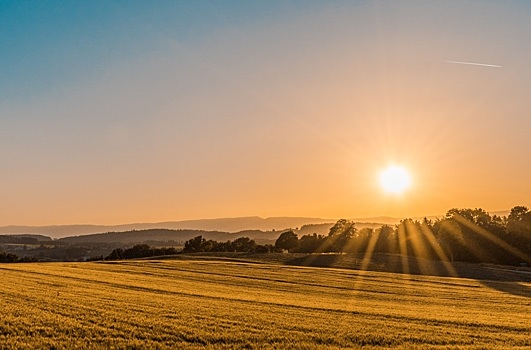 Колхоз в Ростовской области выставили на продажу за миллиард рублей