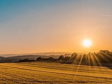 Колхоз в Ростовской области выставили на продажу за миллиард рублей