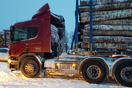 Дмитрий Миронов: «Нам удалось пресечь незаконный оборот древесины»