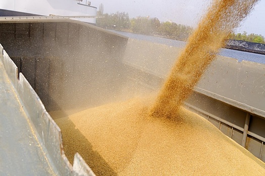 За три года стран&mdash;импортёров российского зерна стало меньше на четверть