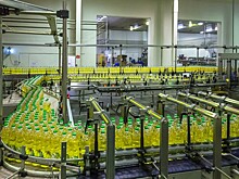 «Эфко» нарастила переработку масличных по итогам сезона 2021 года до 3,5 млн тонн