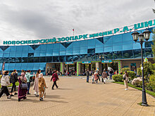 Панды и бегемоты поселятся в Новосибирском зоопарке к его 80-летию