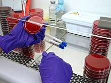 На семинаре обсудили отбора смывов с упаковок пищевой продукции