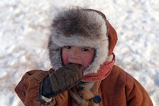 Власти Колымы попросили признать чукчей коренным народом Магаданской области