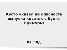 Кусто указал на опасность выпуска косаток в бухте Приморья