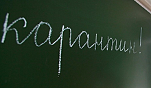Четыре школы закрыли во Владимирской области из-за карантина по гриппу