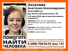 16-летняя школьница бесследно пропала в Ленобласти