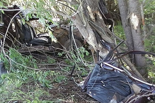 В Прикамье бесправник врезался в дерево и погубил пассажира