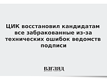 Памфилова: организацией митингов в Москве занимаются 13 оппозиционных кандидатов