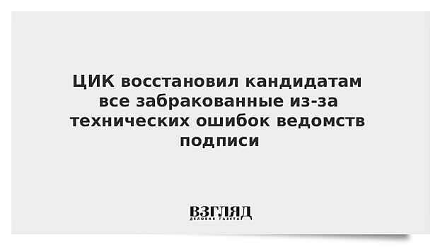 Памфилова: организацией митингов в Москве занимаются 13 оппозиционных кандидатов