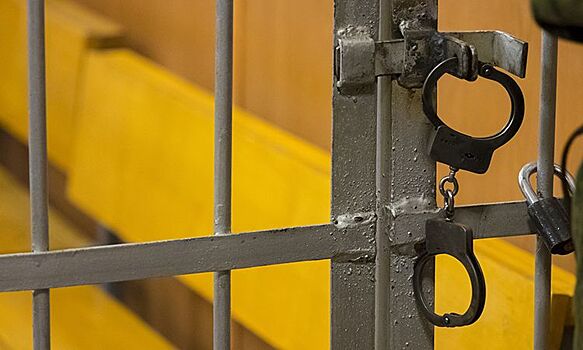 МВД РФ запретило надевать наручники на женщин и детей