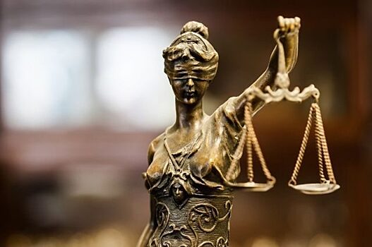 Суд приговорил к пожизненному заключению убившего семью в Красноярске