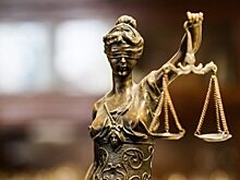 Суд приговорил к пожизненному заключению убившего семью в Красноярске