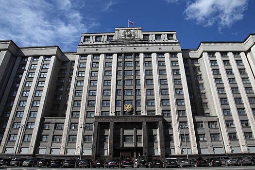 В Госдуме создали комиссию по вопросам миграционной политики
