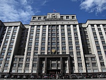 В Госдуме создали комиссию по вопросам миграционной политики