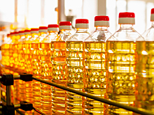 В Казахстане растет участие узбекского бизнеса в строительстве маслозаводов