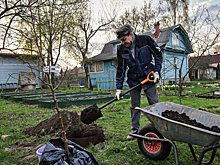 В Нижегородской области зафиксировали повышение спроса на аренду дач