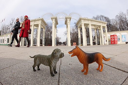 В парке "Сокольники" могут запретить гулять с собаками