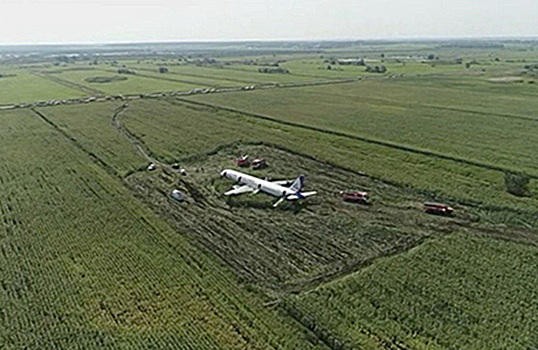 Кто возместит ущерб, причиненный полю в результате аварийной посадки самолета «Уральских авиалиний»?
