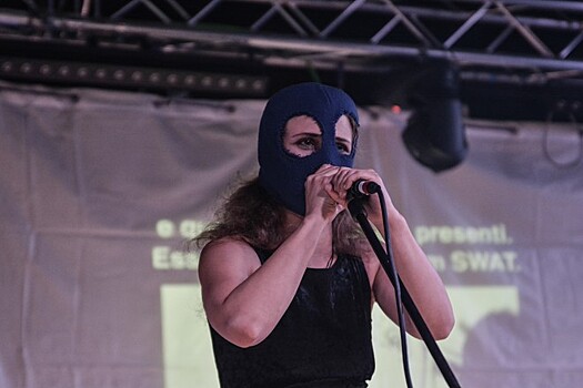 Участниц группы Pussy Riot задержали в Москве