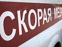 Автомобиль сбил устроивших фотосессию на дороге женщин