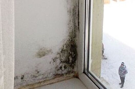 Проверить лично жильё сирот обещал губернатор Ростовской области