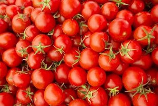 Более 20 тонн томатов не пустили на Кубань