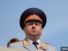 Главный курганский следователь отчитался о росте доходов