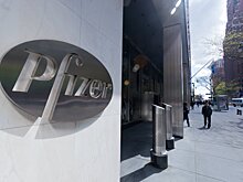 Pfizer начала строительство фармзавода в Калужской области