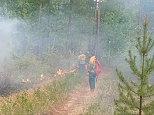 Возле Маккавеево в Забайкалье тушат лесной пожар с помощью отжига